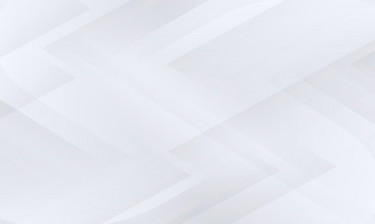 white abstract graphic design presentation vector image