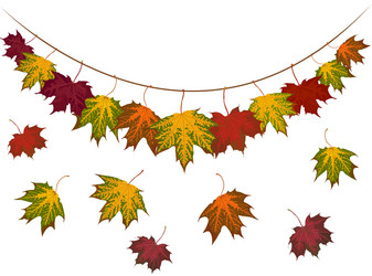 autumn banner with leaves vector image