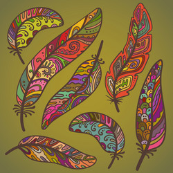 Colored feathers set Royalty Free Vector Image