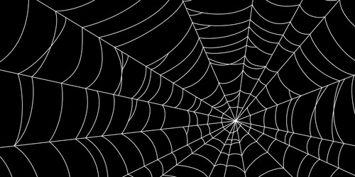 Spooky White Cobweb Halloween Background vector image