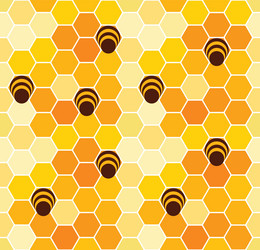 Honeycomb Pattern - Bees vector image