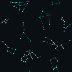 seamless background with different constellations vector image