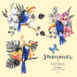 set of vintage summer toucan butterflies vector