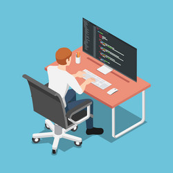 Isometric Software Developer Coding vector image