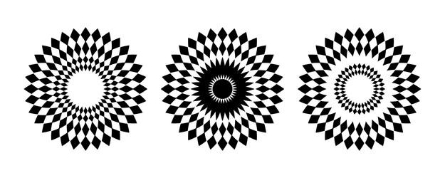 Geometric Circle Patterns vector image