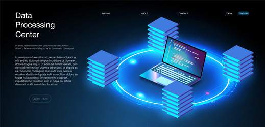 web hosting or programming concept vector image