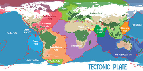 world map showing tectonic plates boundaries vector image