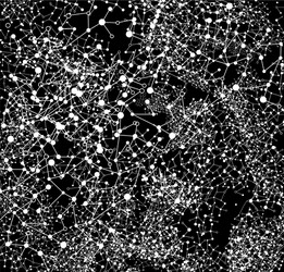 abstract polygonal background with connected dots vector image