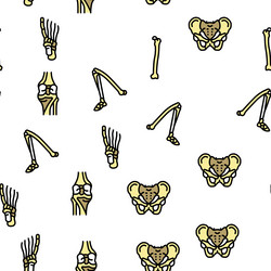 Bone human skeleton structure seamless Royalty Free Vector