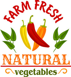 Hot chilli and cayenne peppers vegetable badge vector
