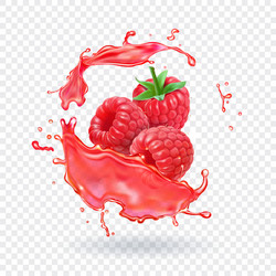 Fresh Raspberry Juice Splash vector image
