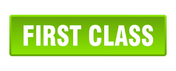 first class button square green push vector image