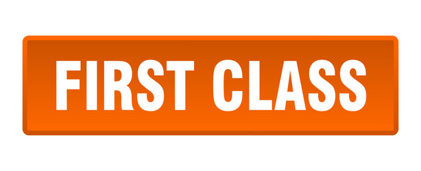 first class button square orange push vector image