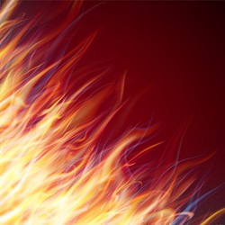 Wings in flame and fire on black eps 10 Royalty Free Vector