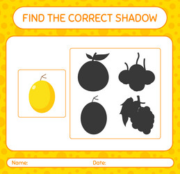 find the correct shadows game with honeydew melon vector image