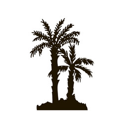 rain forest palm tree silhouettes vector