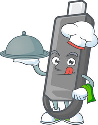 flashdisk as chef with food on tray ready to serve vector image