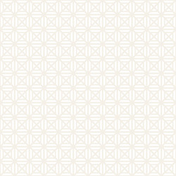 abstract geometric lines lattice pattern seamless vector image
