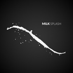 Milk splash isolated on black background vector