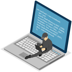 programmer man works with laptop creates program vector image