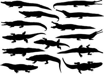 Crocodile Silhouettes Collection Vector Image