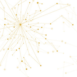 geometric pattern with connected lines and dots vector image