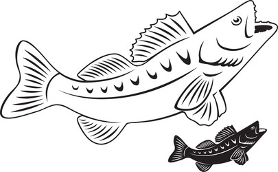 fish perch Vector Image