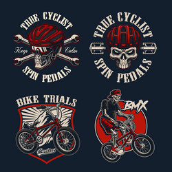 Bicycle & Skeleton Motifs Vector Image