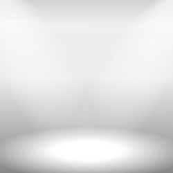 Empty Studio Backdrop vector image