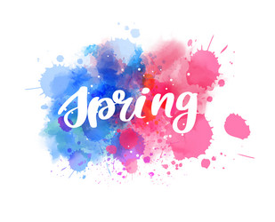 spring - handwritten modern calligraphy Vector Image