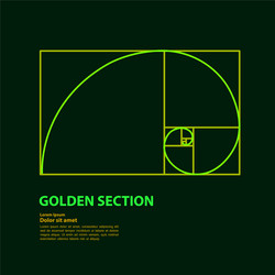 Golden ratio for creative design section vector