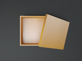 gold open empty squares cardboard box top view vector image