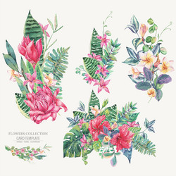 Tropical Floral Set Vector Image