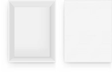 blank rectangular box with open lid mockup vector image