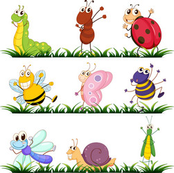 Cartoon insects set Royalty Free Vector Image - VectorStock