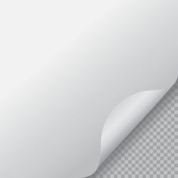page curl with shadow on blank sheet of paper vector image