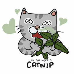 Cat Enjoying Catnip vector image