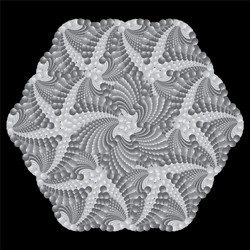 mandala fractal grayl spiral pattern or texture vector image
