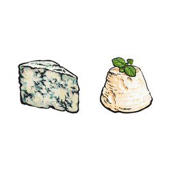 sketch ricotta and blue cheese vector