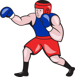 Amateur boxer boxing cartoon vector