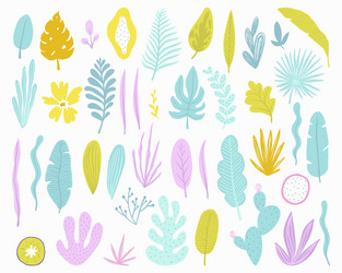 Tropical Summer Leaves Vector Image