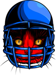 football helmet sport vector