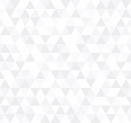 white triangular mosaic abstract seamless pattern vector image
