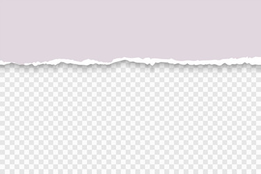 torn paper with ripped edges and soft shadow vector image