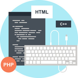 program coding flat web icon vector image