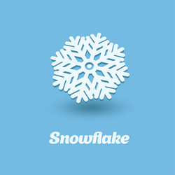 3d snowflake isolated on blue background vector