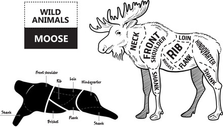 cut of elk set poster butcher diagram - desert vector