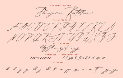 handwritten script calligraphy cursive font vector image