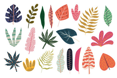 set of colorful tropical leaves rainforest vector