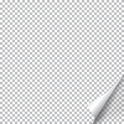 page curl with shadow on blank sheet of paper vector image